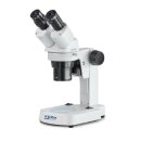 Stereomicroscope Binocular Greenough: 1/2/4x: WF10x20:...