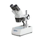 Stereomicroscope Binocular Greenough: 1/2/4x: WF10x20:...